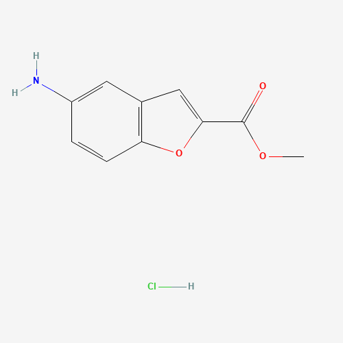 Methyl 5-aminobenzofuran-2-carboxylate hydrochloride