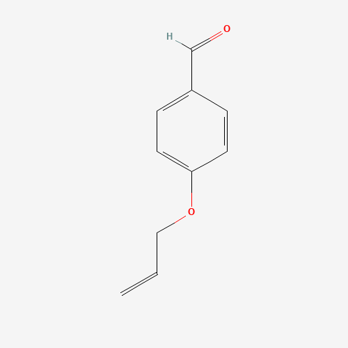 4-(Allyloxy)benzaldehyde