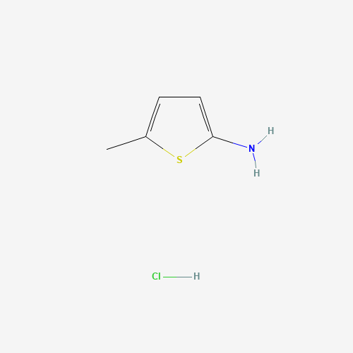 5-Methylthiophen-2-amine hydrochloride