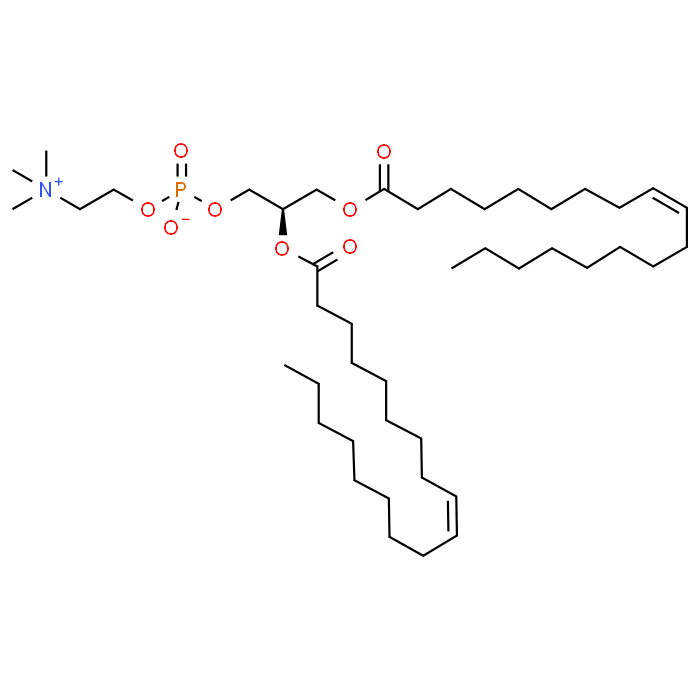1,2-Dioleoyl-sn-glycero-3-phosphocholine