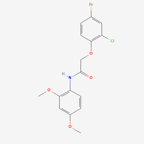 2-(4-Bromo-2-chlorophenoxy)-N-(2,4-dimethoxyphenyl)acetamide