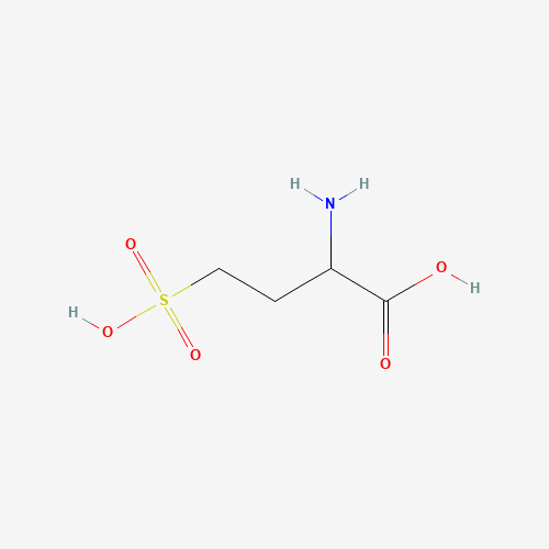 H-DL-HoCysteic acid
