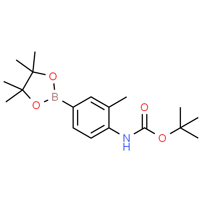 tert-Butyl (2-methyl-4-(4,4,5,5-tetramethyl-1,3,2-dioxaborolan-2-yl)phenyl)carbamate - Achmem