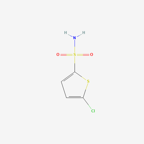 5-Chlorothiophene-2-sulfonamide