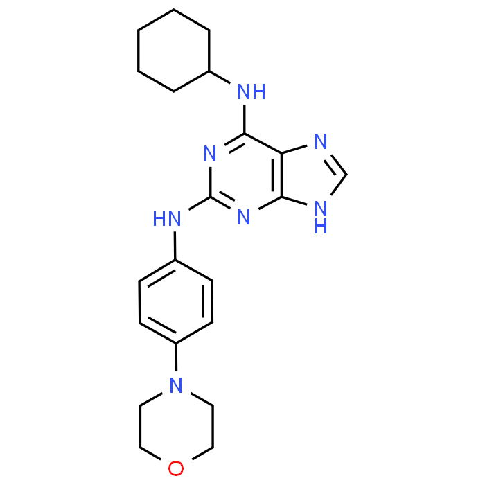 N6-Cyclohexyl-N2-(4-morpholinophenyl)-9H-purine-2,6-diamine