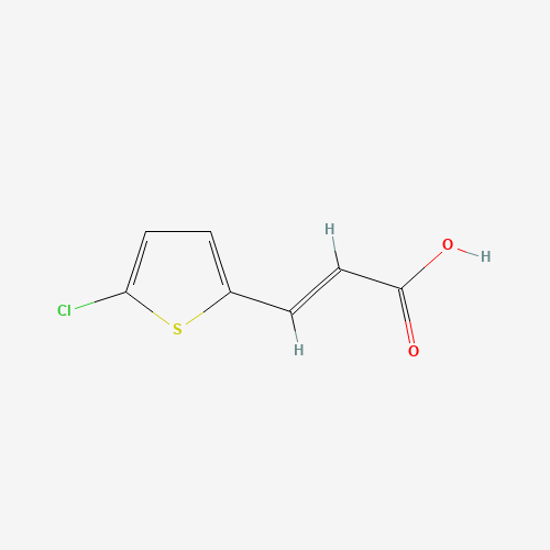 (E)-3-(5-Chlorothiophen-2-yl)acrylic acid