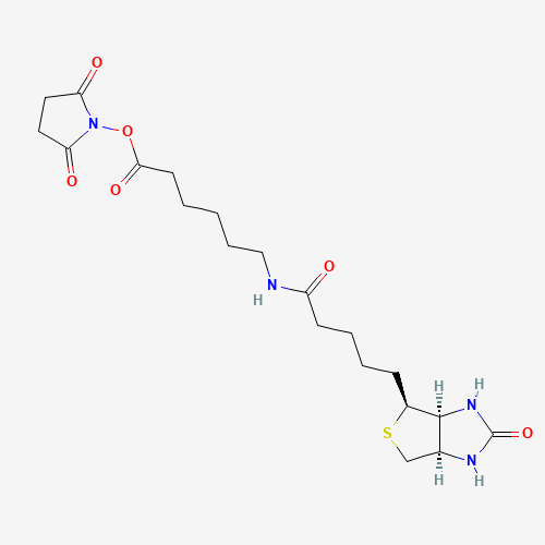 Biotin-C5-NHS Ester