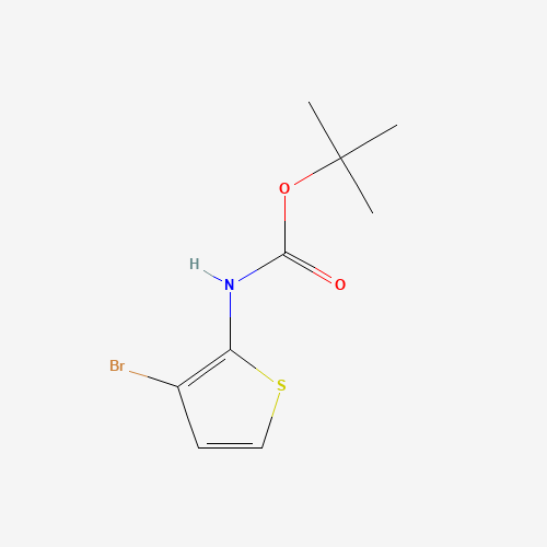tert-Butyl (3-bromothiophen-2-yl)carbamate