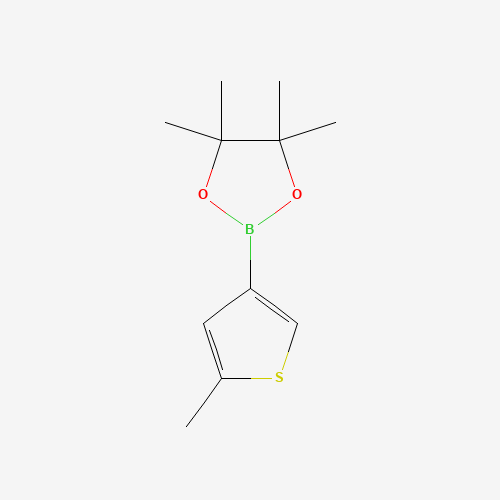 4,4,5,5-Tetramethyl-2-(5-methylthiophen-3-yl)-1,3,2-dioxaborolane