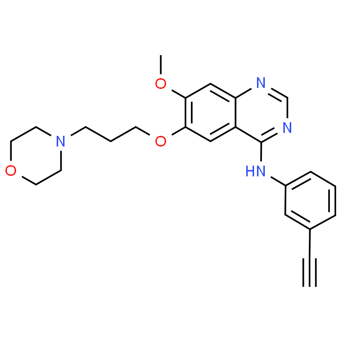 N-(3-Ethynylphenyl)-7-methoxy-6-(3-morpholinopropoxy)quinazolin-4-amine