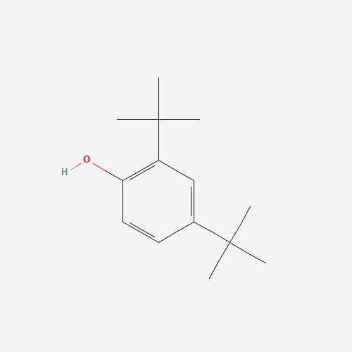 2,4-Di-tert-butylphenol