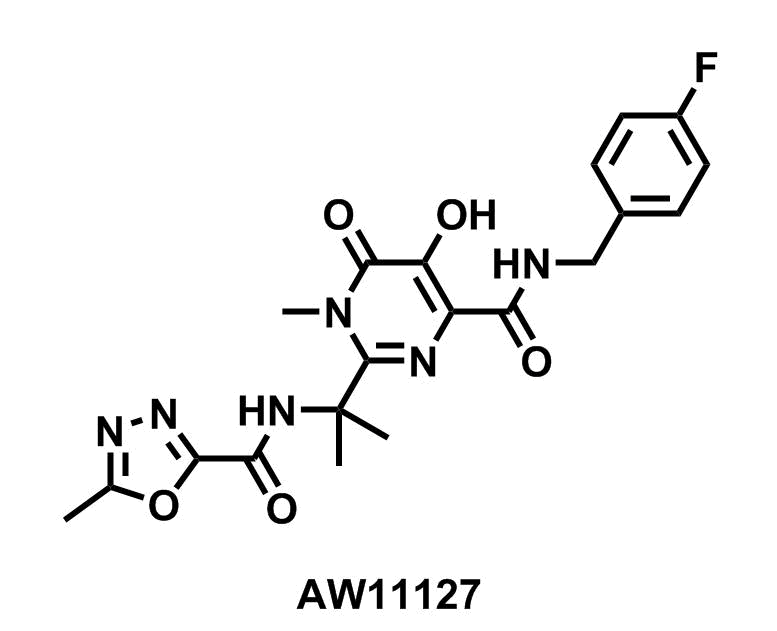 Raltegravir - Achmem