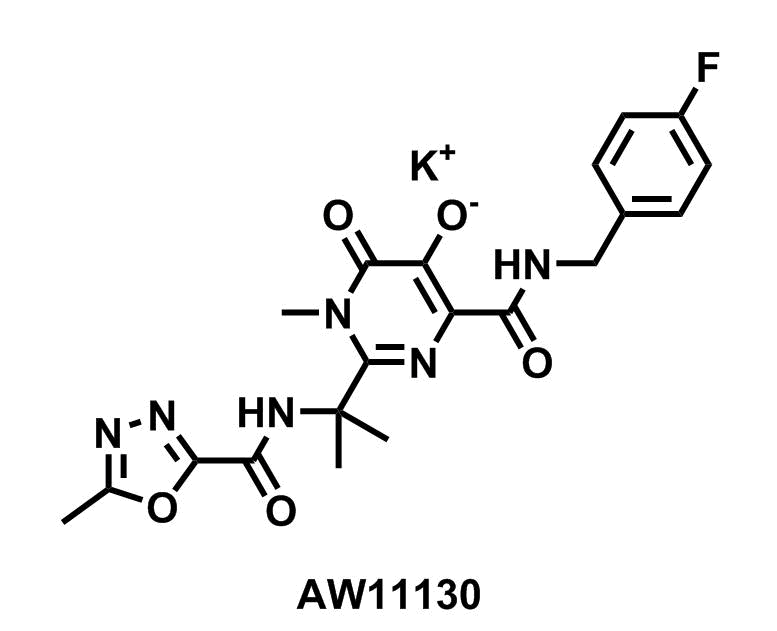 Raltegravir potassium - Achmem