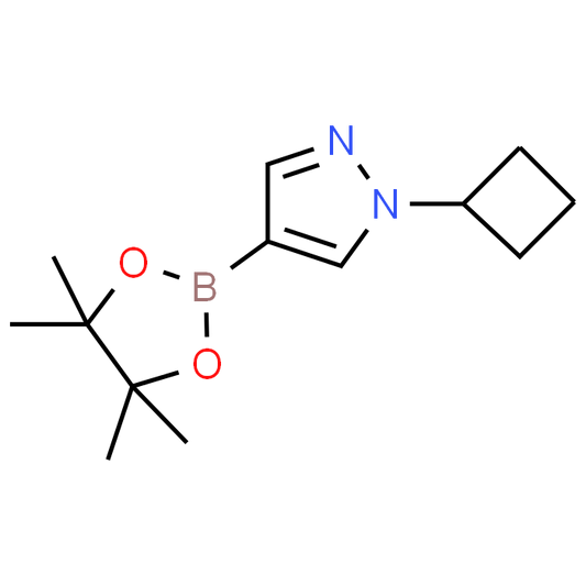 1-Cyclobutyl-4-(4,4,5,5-tetramethyl-1,3,2-dioxaborolan-2-yl)-1H-pyrazole