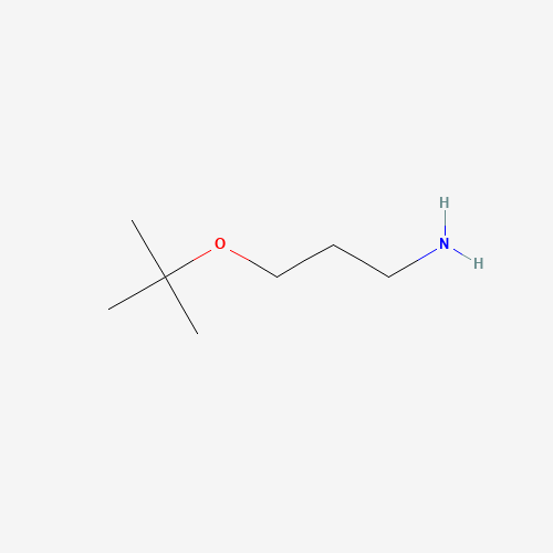 O-t-butyloxypropylamine