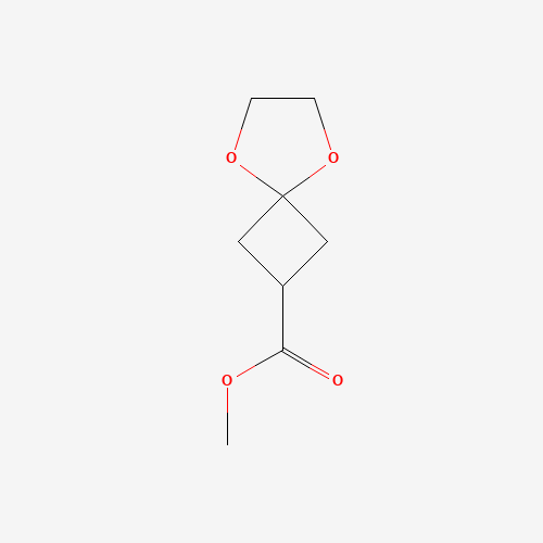 Methyl 5,8-dioxaspiro[3.4]octane-2-carboxylate
