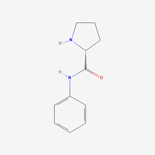 (2R)-n-phenylpyrrolidine-2-carboxamide