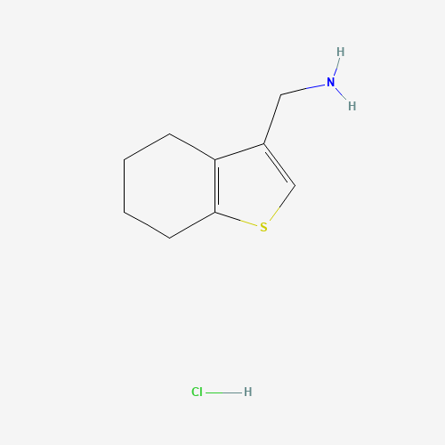 (4,5,6,7-Tetrahydro-1-benzothien-3-ylmethyl)amine hydrochloride