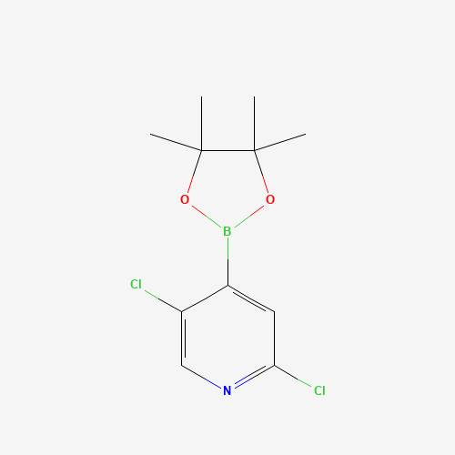 2,5-Dichloro-4-(4,4,5,5-tetramethyl-1,3,2-dioxaborolan-2-yl)pyridine