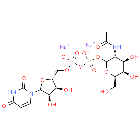 UDP-GalNAc.2Na