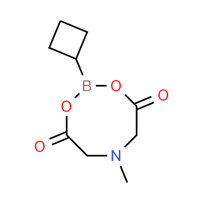 8-Cyclobutyl-4-methyl-2,6-dioxohexahydro-[1,3,2]oxazaborolo[2,3-b][1,3,2]oxazaborol-4-ium-8-uide