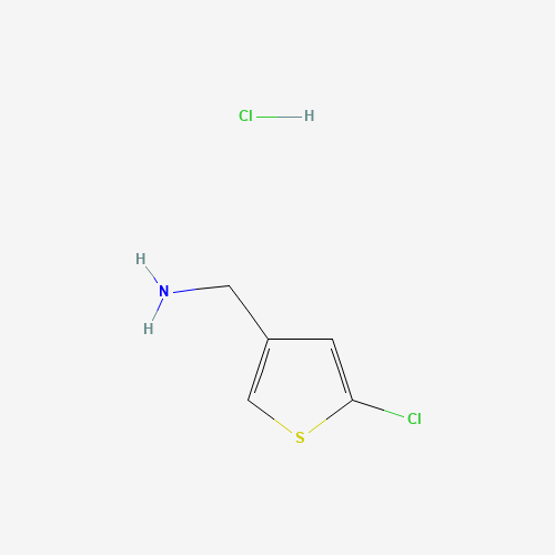 (5-Chlorothiophen-3-yl)methanamine hydrochloride