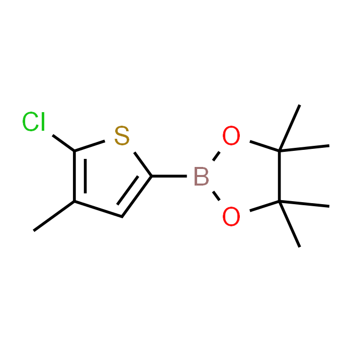 2-(5-Chloro-4-methylthiophen-2-yl)-4,4,5,5-tetramethyl-1,3,2-dioxaborolane