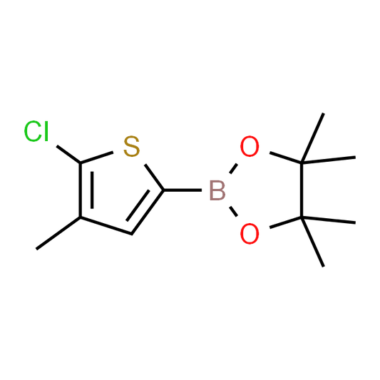 2-(5-Chloro-4-methylthiophen-2-yl)-4,4,5,5-tetramethyl-1,3,2-dioxaborolane