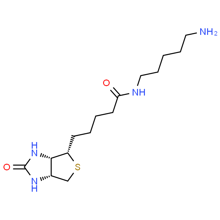 N-(5-Aminopentyl)biotinamide