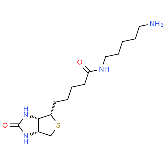 N-(5-Aminopentyl)biotinamide