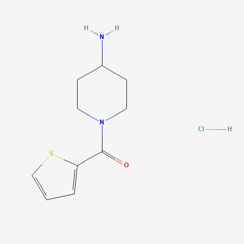 1-(Thiophene-2-carbonyl)piperidin-4-amine hydrochloride