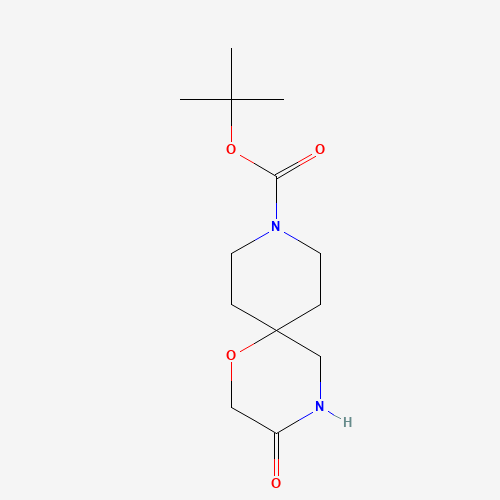 tert-Butyl 3-oxo-1-oxa-4,9-diazaspiro[5.5]undecane-9-carboxylate