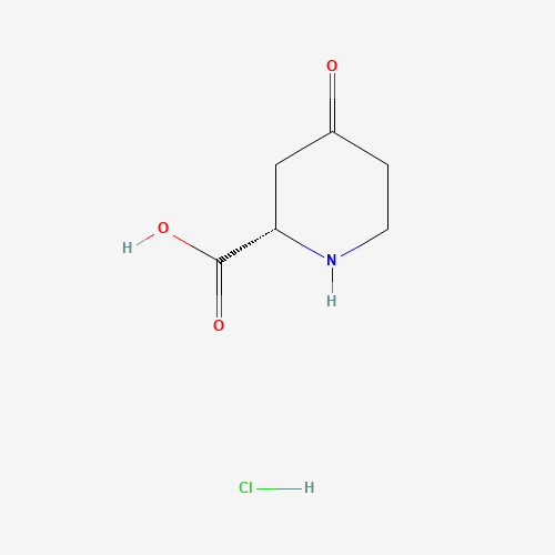 (S)-4-Oxopiperidine-2-carboxylic acid hydrochloride