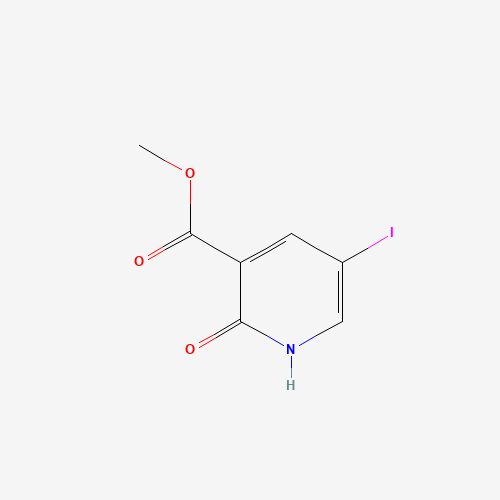 Methyl 5-iodo-2-oxo-1,2-dihydropyridine-3-carboxylate