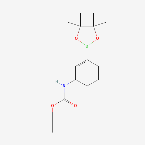 tert-Butyl (3-(4,4,5,5-tetramethyl-1,3,2-dioxaborolan-2-yl)cyclohex-2-en-1-yl)carbamate