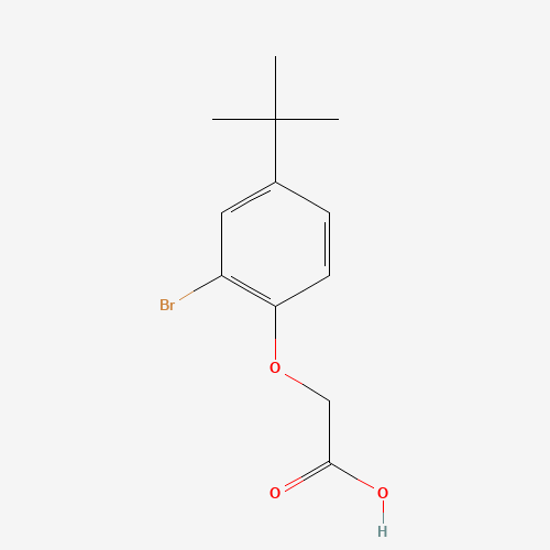 2-(2-Bromo-4-(tert-butyl)phenoxy)acetic acid