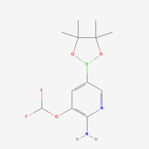 3-(Difluoromethoxy)-5-(4,4,5,5-tetramethyl-1,3,2-dioxaborolan-2-yl)pyridin-2-amine