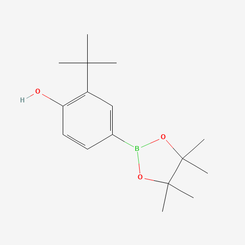 2-(tert-Butyl)-4-(4,4,5,5-tetramethyl-1,3,2-dioxaborolan-2-yl)phenol