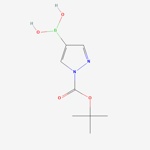 (1-(tert-Butoxycarbonyl)-1H-pyrazol-4-yl)boronic acid