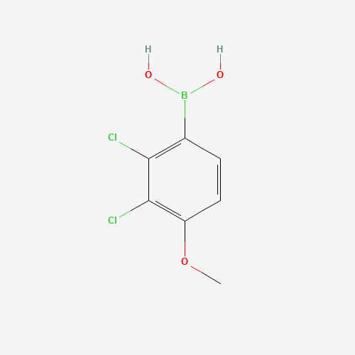 (2,3-Dichloro-4-methoxyphenyl)boronic acid