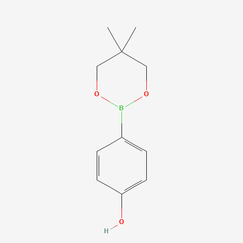 4-(5,5-Dimethyl-1,3,2-dioxaborinan-2-yl)phenol