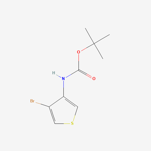 tert-Butyl (4-bromothiophen-3-yl)carbamate