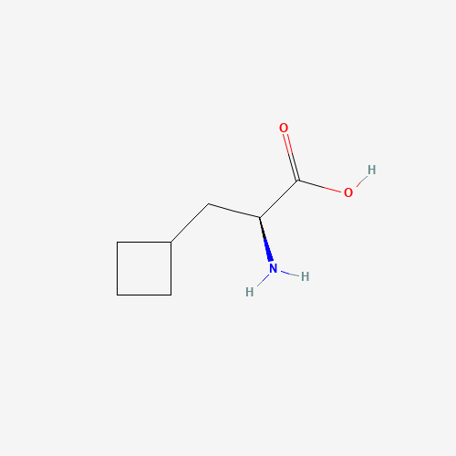 (S)-2-Amino-3-cyclobutylpropanoic acid