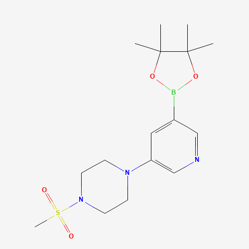 1-(Methylsulfonyl)-4-(5-(4,4,5,5-tetramethyl-1,3,2-dioxaborolan-2-yl)pyridin-3-yl)piperazine
