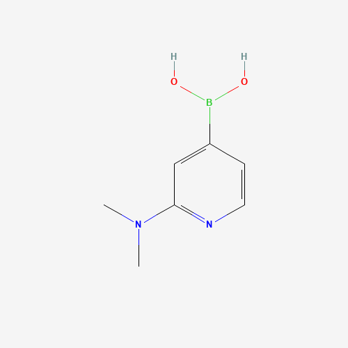 (2-(Dimethylamino)pyridin-4-yl)boronic acid