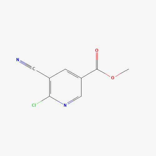 Methyl 6-chloro-5-cyanonicotinate