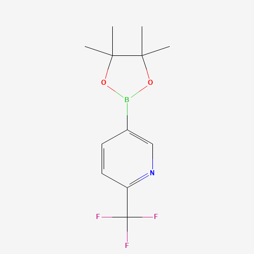 2-(Trifluoromethyl)pyridine-5-boronic Acid Pinacol Ester