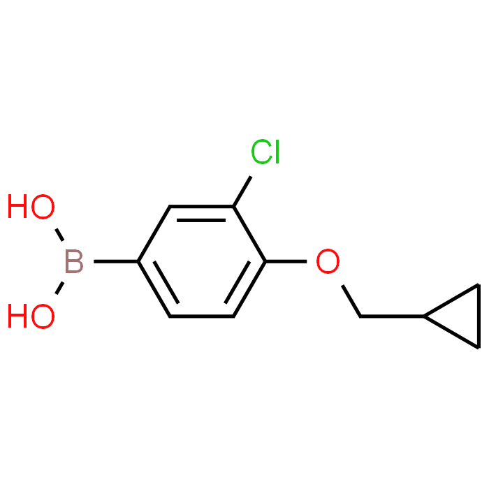 3-Chloro-4-(cyclopropylmethoxy)phenylboronic acid