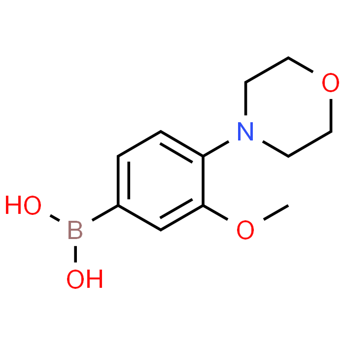 (3-Methoxy-4-morpholinophenyl)boronic acid