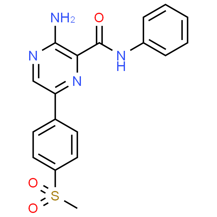 3-Amino-6-(4-(methylsulfonyl)phenyl)-N-phenylpyrazine-2-carboxamide